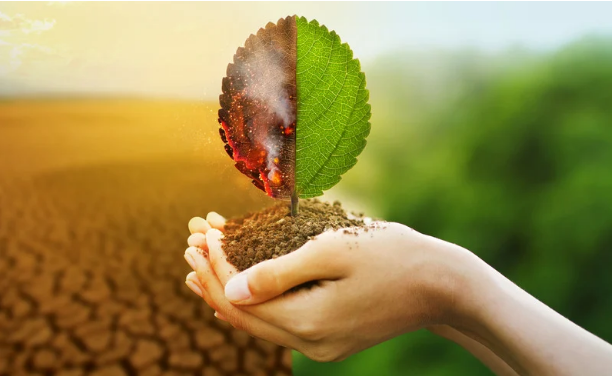 A hand holding a leaf, half of which is green and half brown, denoting the impact of climate change